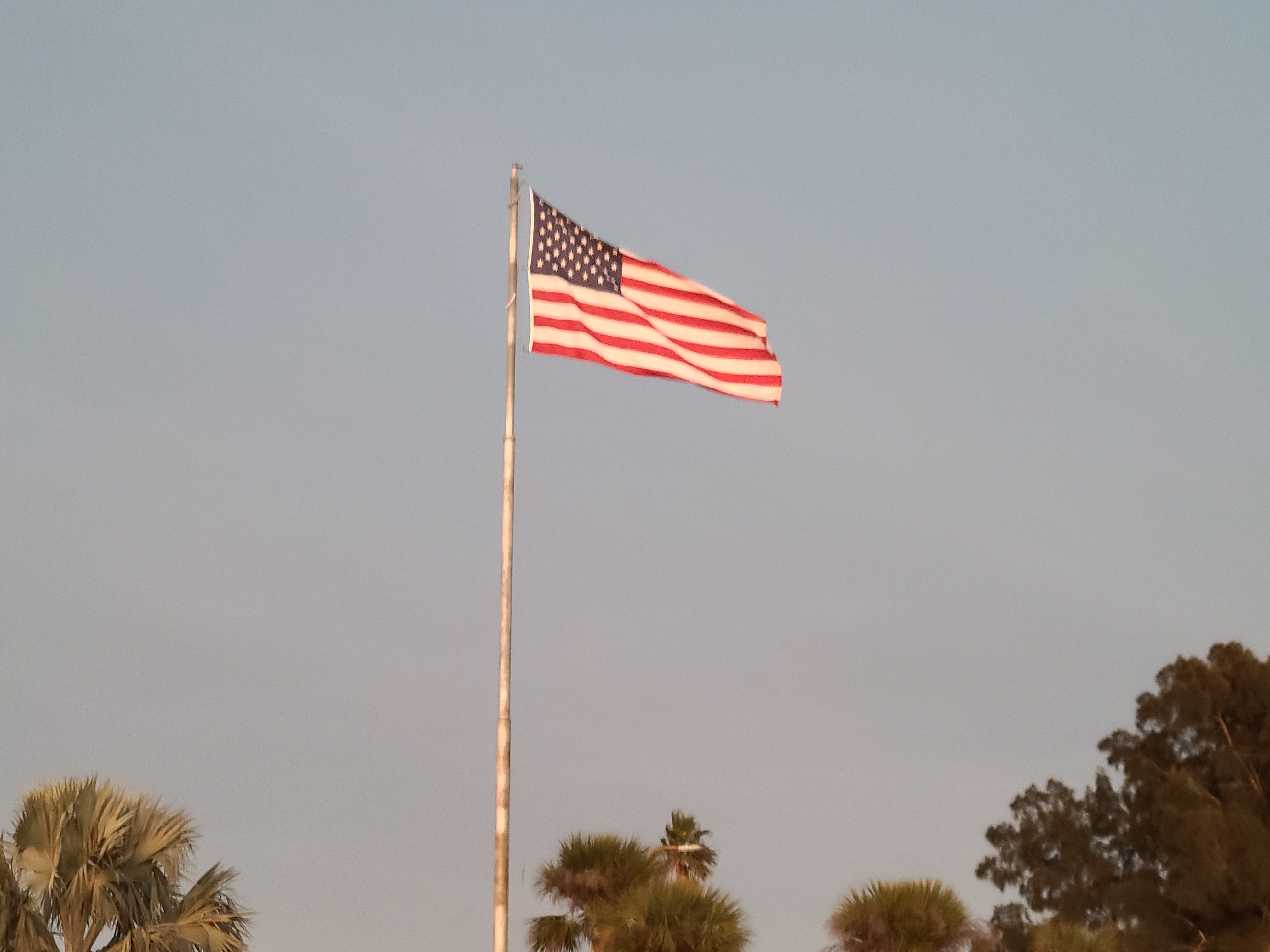 American Flags